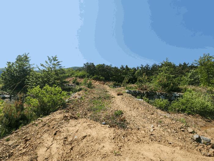 충청남도 서산시 인지면 산동리 248-23 임야 경매 사진 5