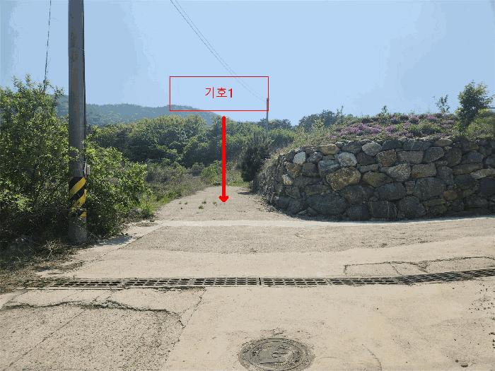 충청남도 서산시 인지면 산동리 248-23 임야 경매 사진 6