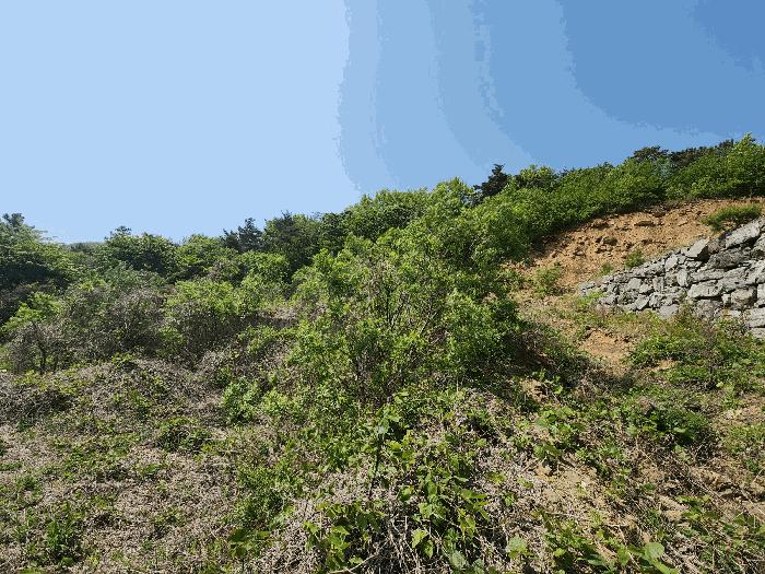 충청남도 서산시 인지면 산동리 248-23 임야 경매 사진 8