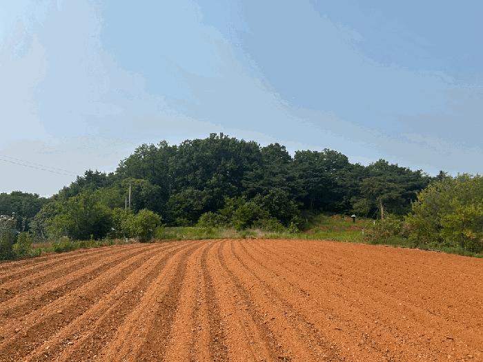 충청남도 당진시 송악읍 금곡리 산73-2 임야 경매 사진 4
