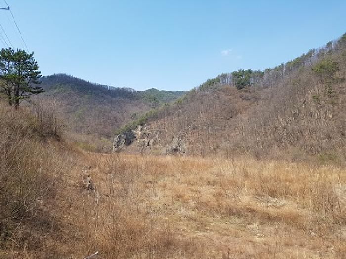 경상북도 청송군 부남면 구천리 36 전 경매 사진 12