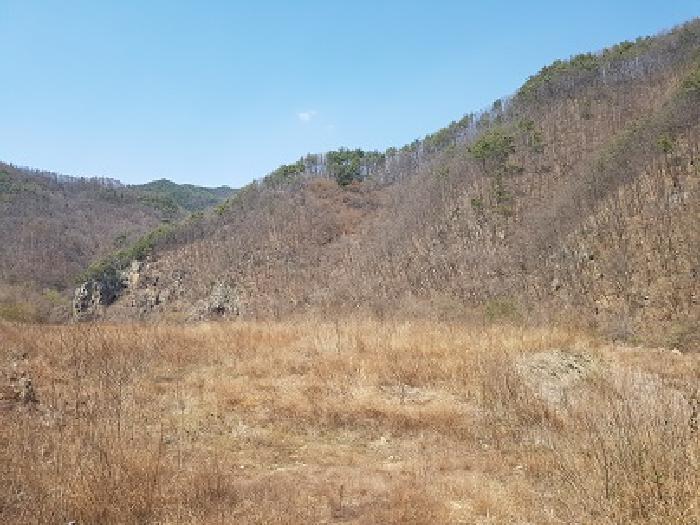 경상북도 청송군 부남면 구천리 36 전 경매 사진 13