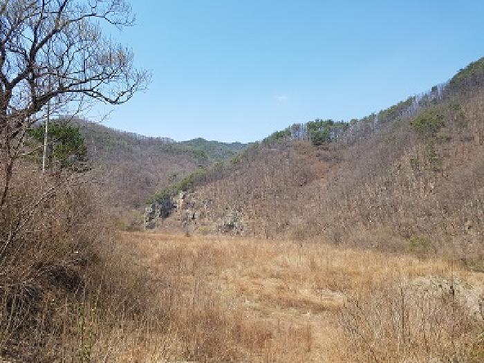 경상북도 청송군 부남면 구천리 36 전 경매 사진 14