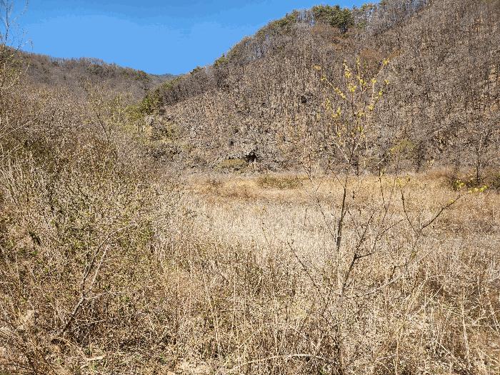 경상북도 청송군 부남면 구천리 36 전 경매 사진 3