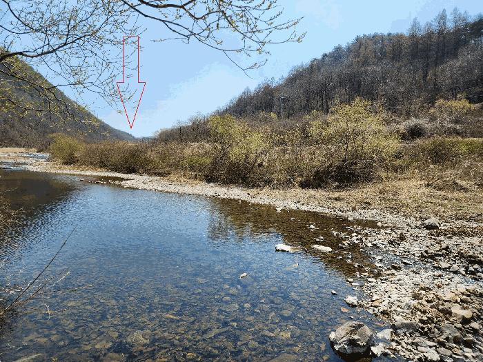 경상북도 청송군 부남면 구천리 36 전 경매 사진 5