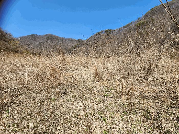 경상북도 청송군 부남면 구천리 36 전 경매 사진 7