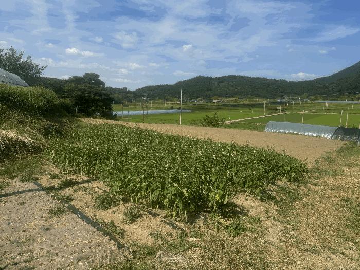 전남광주통합특별시 나주시 전