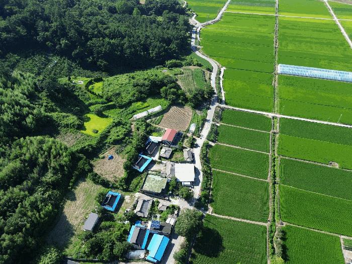 전라남도 나주시 봉황면 운곡리 389 전 경매 사진 5