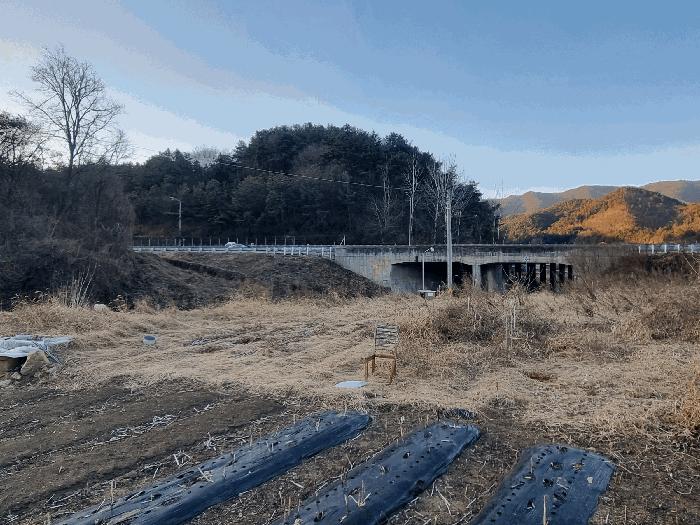 전라남도 곡성군 삼기면 월경리 232-1 전 경매 사진 2
