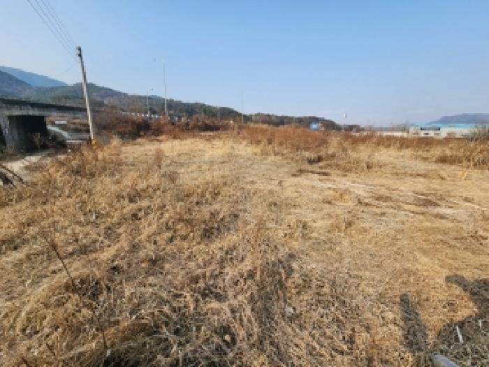 전라남도 곡성군 삼기면 월경리 232-1 전 경매 사진 5