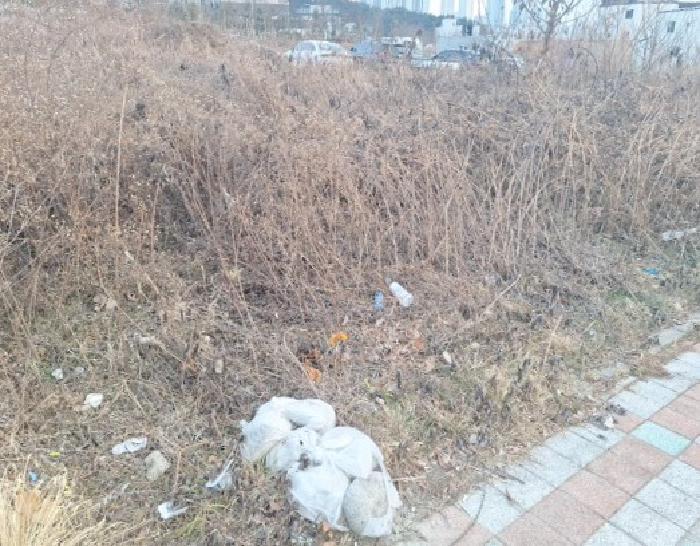 인천광역시 연수구 동춘동 717-56 주택 경매 사진 13