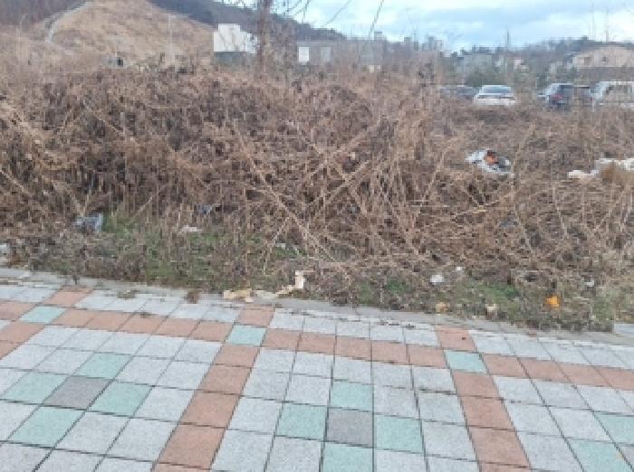 인천광역시 연수구 동춘동 717-56 주택 경매 사진 17
