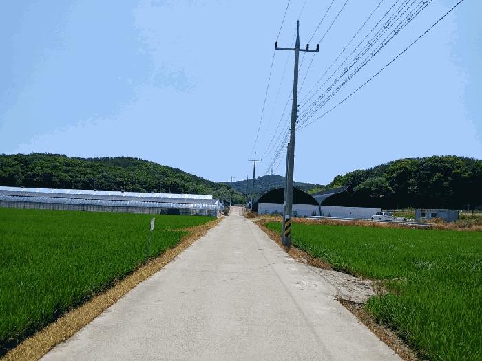 인천 옹진군 전