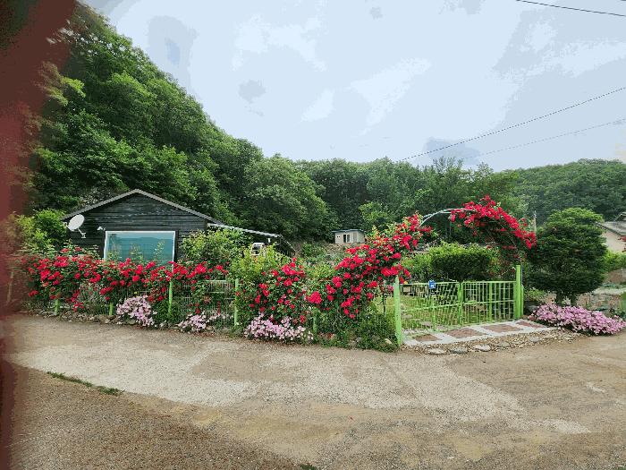 대구광역시 군위군 산성면 무암리 산134 임야 경매 사진 1