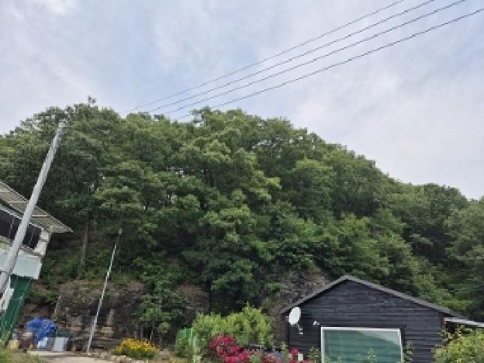 대구광역시 군위군 산성면 무암리 산134 임야 경매 사진 13