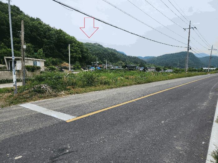 대구광역시 군위군 산성면 무암리 산134 임야 경매 사진 2