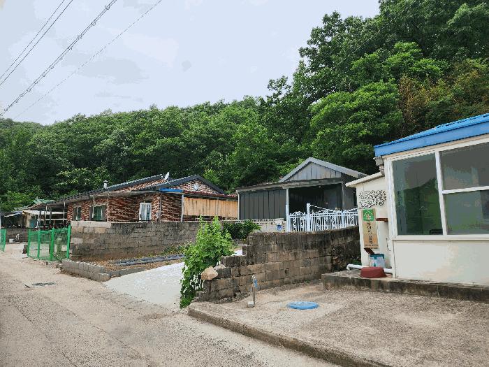 대구광역시 군위군 산성면 무암리 산134 임야 경매 사진 3