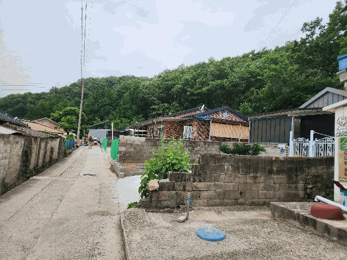 대구광역시 군위군 산성면 무암리 산134 임야 경매 사진 4