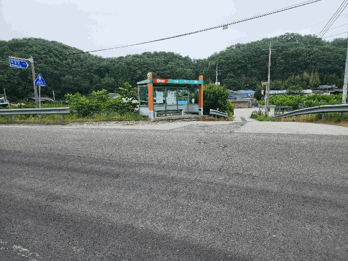 대구광역시 군위군 산성면 무암리 산134 임야 경매 사진 8