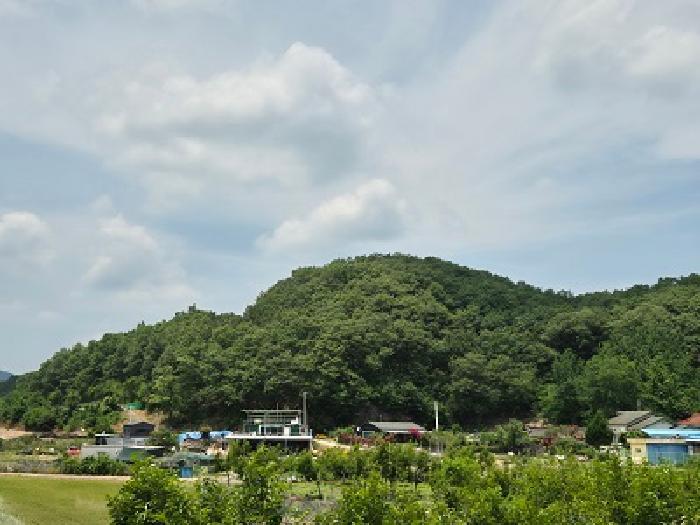 대구광역시 군위군 산성면 무암리 산134 임야 경매 사진 9