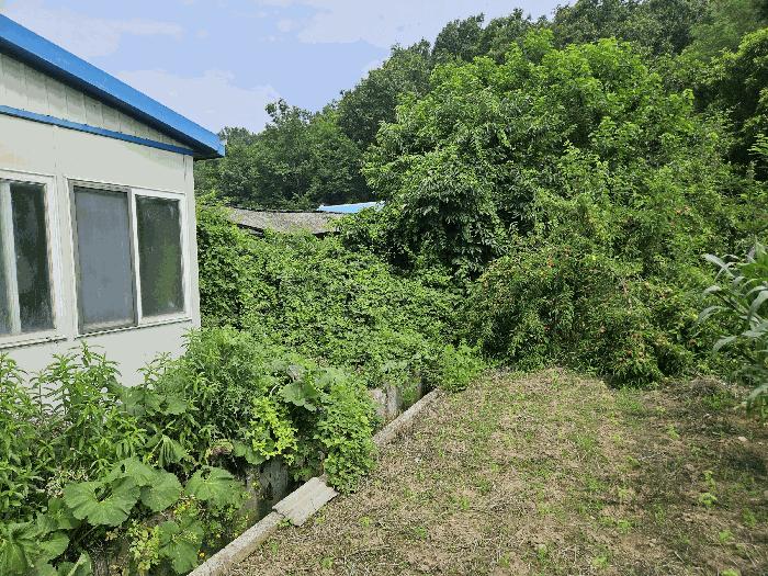 경상북도 의성군 안평면 도옥리 205-10 대지 경매 사진 2