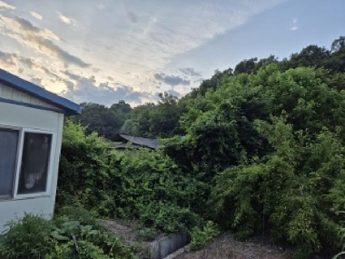 경상북도 의성군 안평면 도옥리 205-10 대지 경매 사진 3