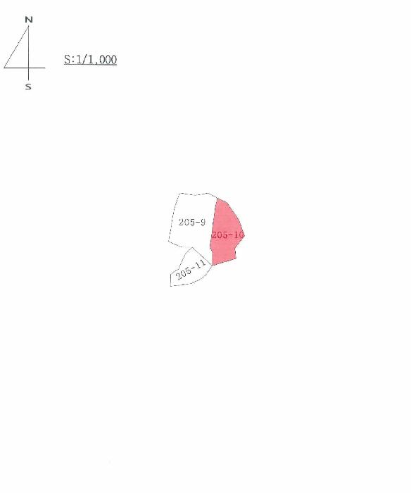 경상북도 의성군 안평면 도옥리 205-10 대지 경매 사진 8