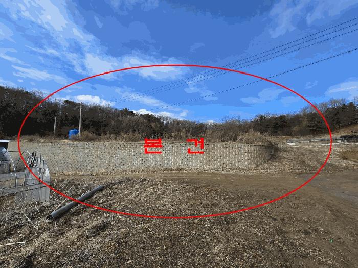 경기도 파주시 문산읍 당동리 704-1 전 경매 사진 24