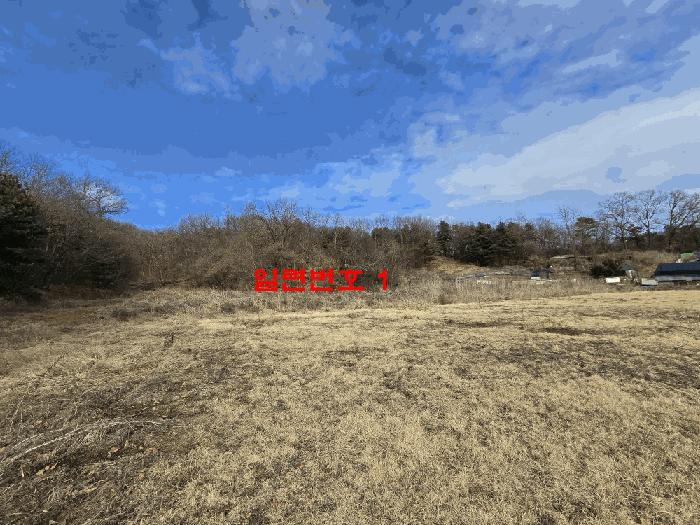 경기도 파주시 문산읍 당동리 704-1 전 경매 사진 8