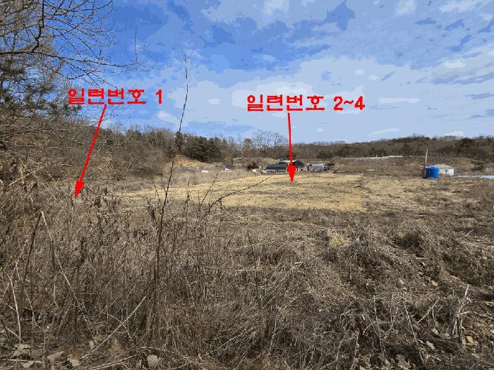 경기도 고양시 덕양구 현천동 417-1 답 경매 사진 2