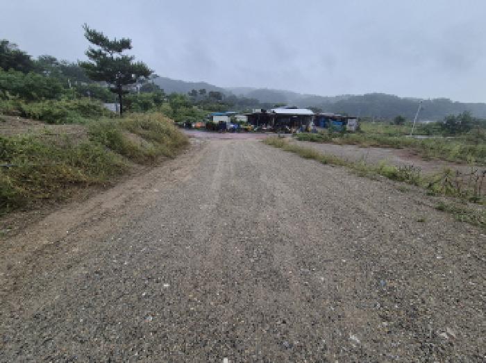 세종특별자치시 연동면 내판리 217-28 임야 경매 사진 25