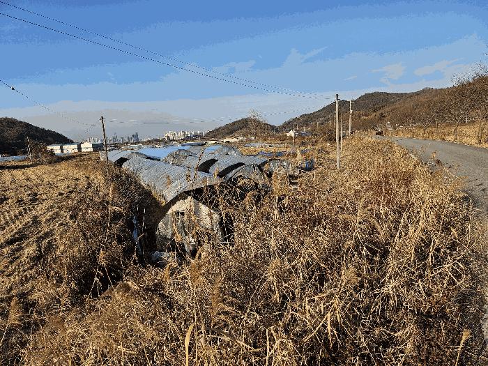 세종특별자치시 금남면 도암리 107 답 경매 사진 1