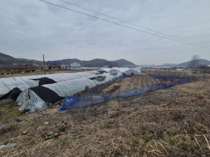 세종특별자치시 금남면 도암리 107 답 경매 사진 28