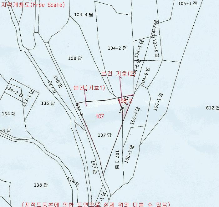 세종특별자치시 금남면 도암리 107 답 경매 사진 33