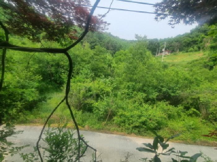 세종특별자치시 금남면 국곡리 41 임야 경매 사진 24