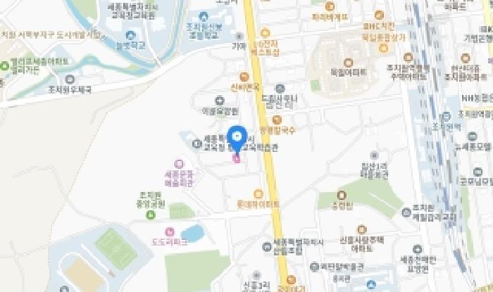 세종특별자치시 조치원읍 침산리 283-9 대지 경매 사진 8