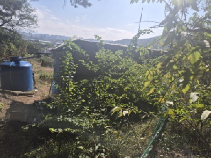 대전광역시 유성구 구암동 430-1 전 경매 사진 11