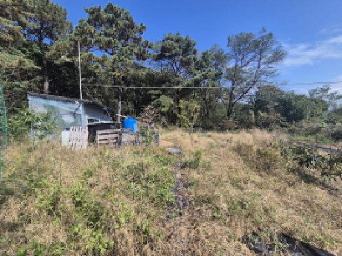 대전광역시 유성구 구암동 430-1 전 경매 사진 12