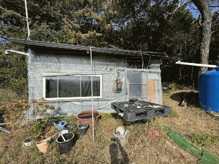 대전광역시 유성구 구암동 430-1 전 경매 사진 2