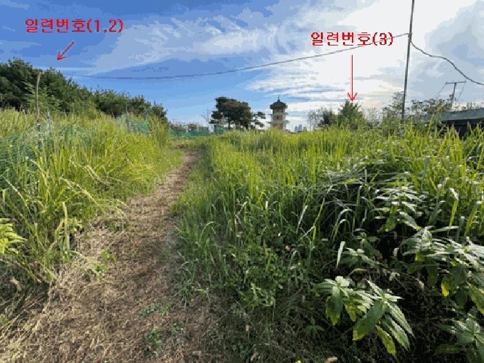대전광역시 유성구 구암동 430-1 전 경매 사진 3