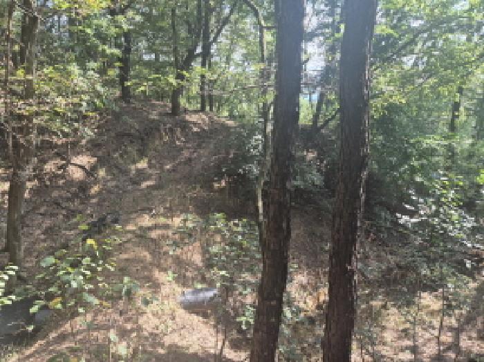 대전광역시 유성구 구암동 430-1 전 경매 사진 8