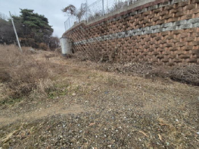 세종특별자치시 장군면 도계리 46-4 임야 경매 사진 17