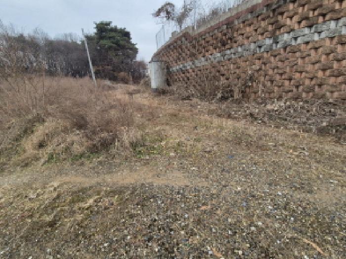 세종특별자치시 장군면 도계리 46-4 임야 경매 사진 18