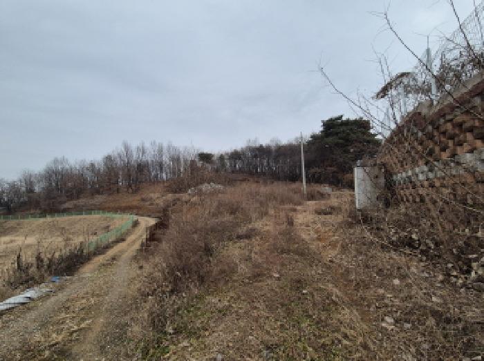 세종특별자치시 장군면 도계리 46-4 임야 경매 사진 5