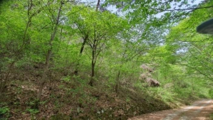 경상남도 창원시 마산합포구 진전면 여양리 산61 임야 경매 사진 9