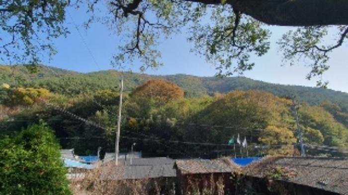 경상남도 창원시 마산합포구 진동면 태봉리 603 전 경매 사진 13