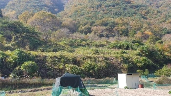 경상남도 창원시 마산합포구 진동면 태봉리 603 전 경매 사진 17