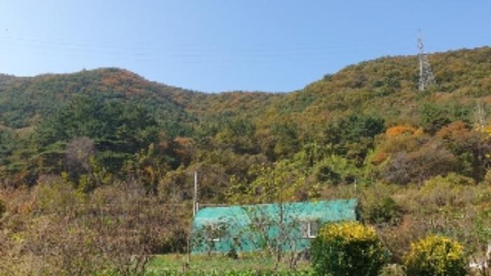 경상남도 창원시 마산합포구 진동면 태봉리 603 전 경매 사진 23
