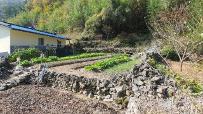경상남도 창원시 마산합포구 진동면 태봉리 산115-1 임야 경매 사진 16