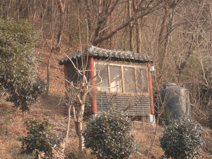 경상남도 창원시 마산합포구 진동면 태봉리 산115-1 임야 경매 사진 7